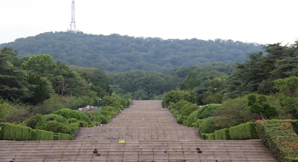 青柏如海慰忠魂，蜀山永志銘深恩——東北林業大學文法學院“皖中赤心尋紅小隊”開展暑期“三下鄉”社會實踐活動