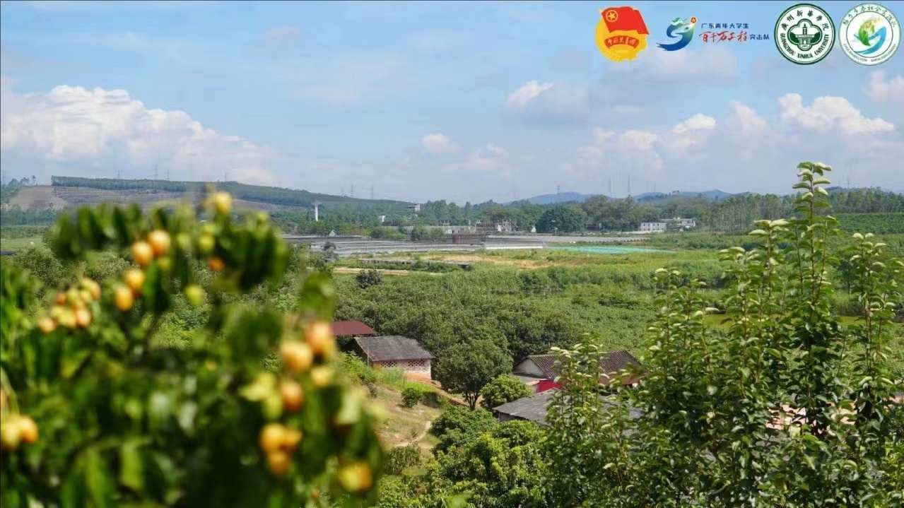 【百千萬工程 — 助力鄉(xiāng)春】果香滿園迎賓至，什石園村展新顏