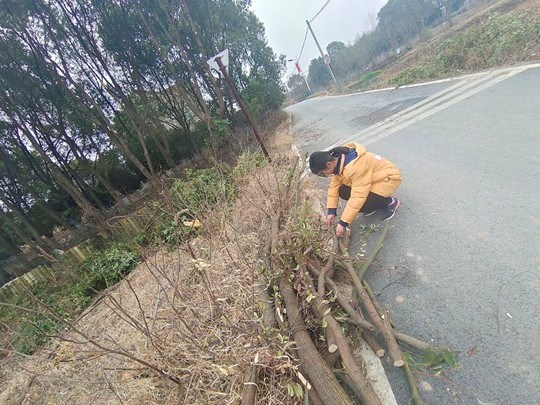 返鄉青年在行動，小區煥新迎大年