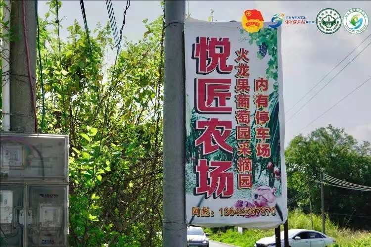 【助力鄉春社會實踐隊】 挖掘西河農業特色，探尋產業發展脈絡