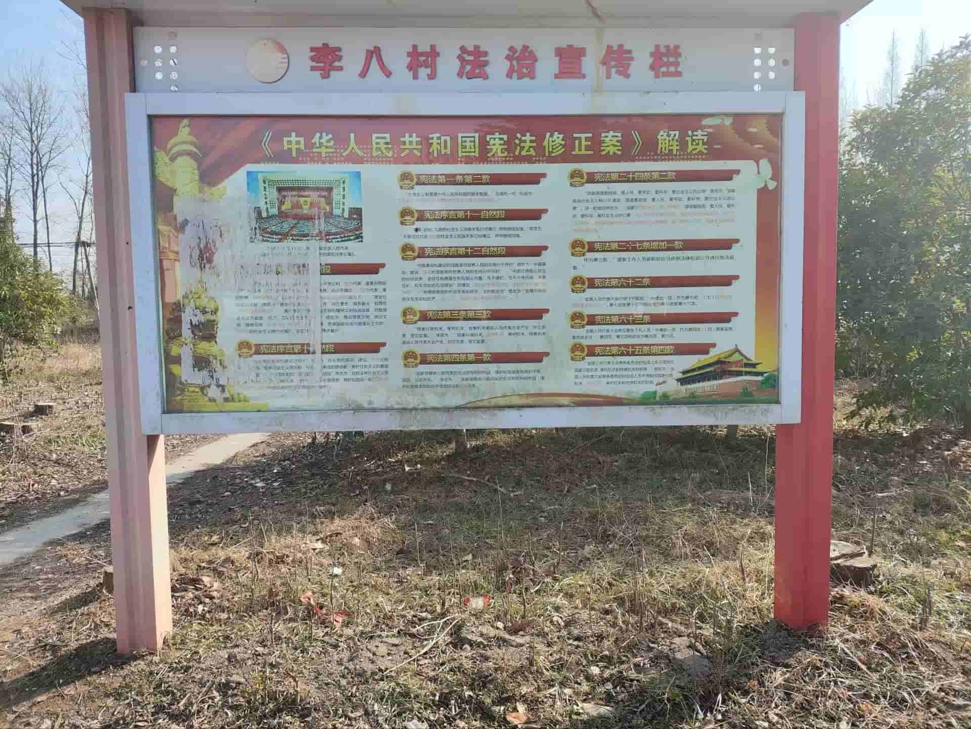  鄉韻新程：聚焦家鄉發展