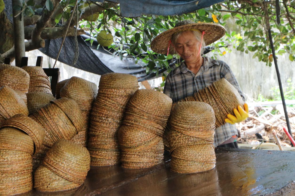 湛科學子“三下鄉”：明日赴約，蒲藝甘園