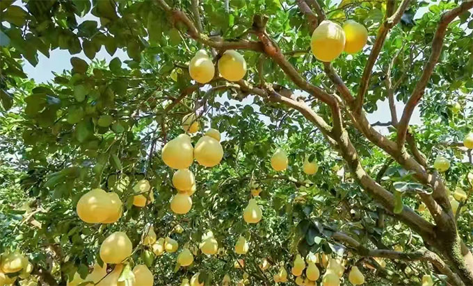 “一布一情萬(wàn)布傳愛”——寒假社會(huì)實(shí)踐宣傳稿