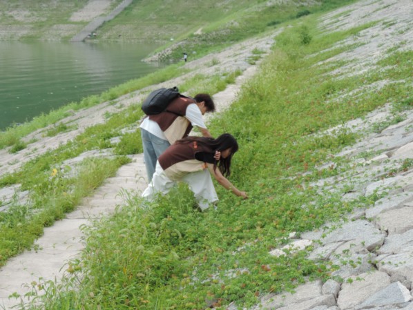 青春力量護航長江生態 武漢東湖學院學子赴秨歸開展多維實踐行動