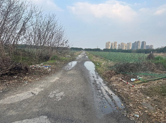 浙江財經大學青年調研團：用腳步丈量農村公路，為鄉村振興鋪就“交通末梢”