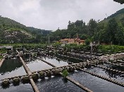 山東大學（威海）纖智未來調研團赴淄博市淄川區太河鎮江源水產養殖場開展調研