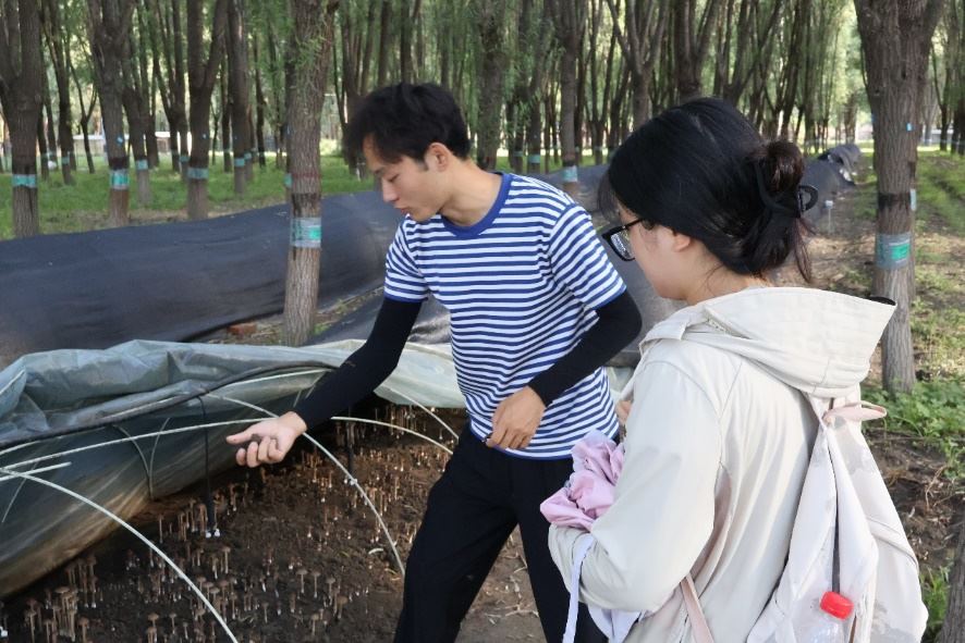 青言綠意繪生態，慈心實踐探蘆村