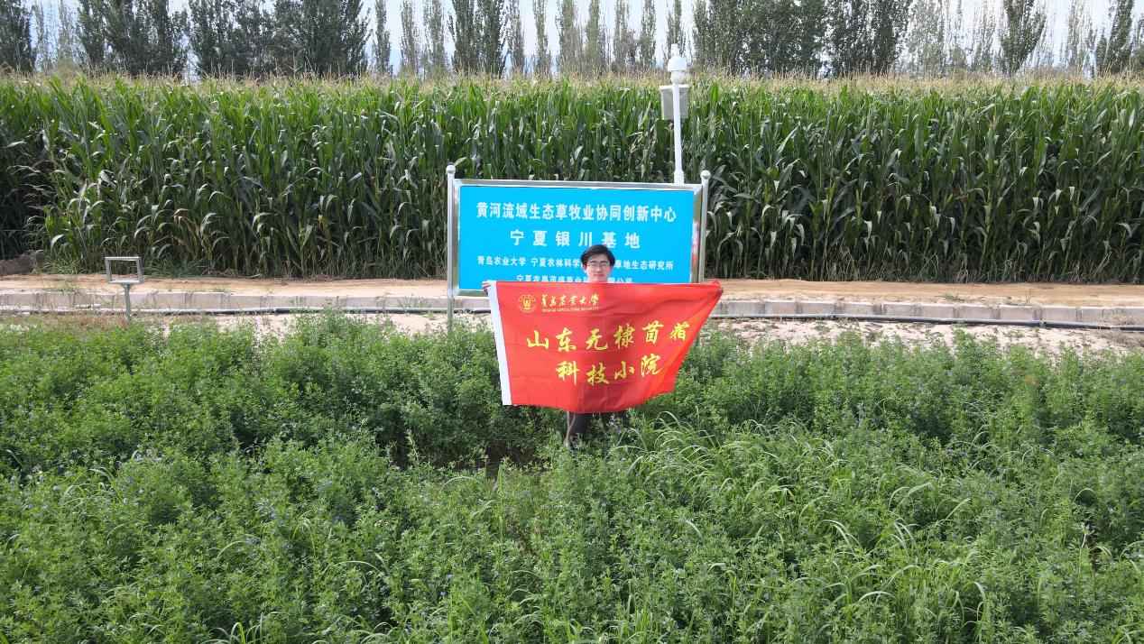 銀川草原上的科研足跡：青島農大草業學院團隊調研紀實