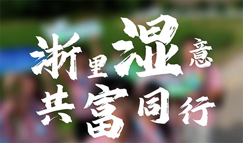 青春力量“潮”向濕地共富！公管學子奔赴青山綠水，解碼生態富民新路徑