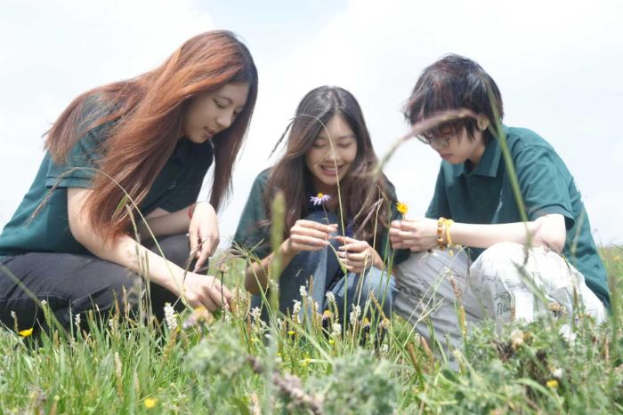 云從鷺島來：創意五寨?第三日