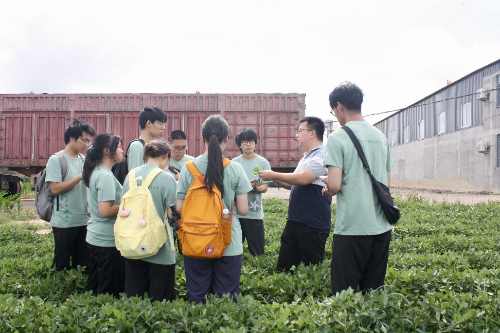 農學院“赤幟領航興榮邑，青衿聚力富農鄉”實踐服務團赴虎山鎮進行實踐調