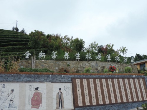 水田壩鄉茶旅新村：茶旅融合繪就鄉村振興新畫卷