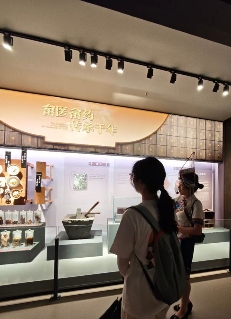 一館藏千年：“青囊畬韻”實踐隊解鎖畬族文化密碼