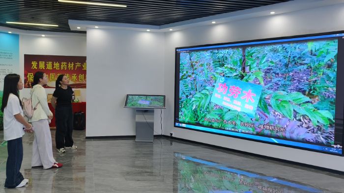 圖為十大功勞木示范區負責人通過智慧大屏為團隊成員介紹基地情況  張君 供圖