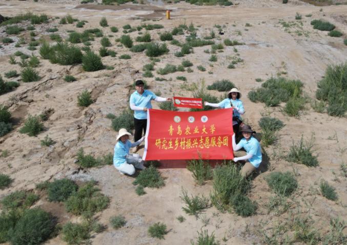 深入東營鹽堿地、探索生態(tài)改良新方案