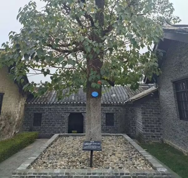 賡續(xù)紅色血脈：淮師實(shí)踐團(tuán)隊(duì)探訪張治中故居傳承愛國精神