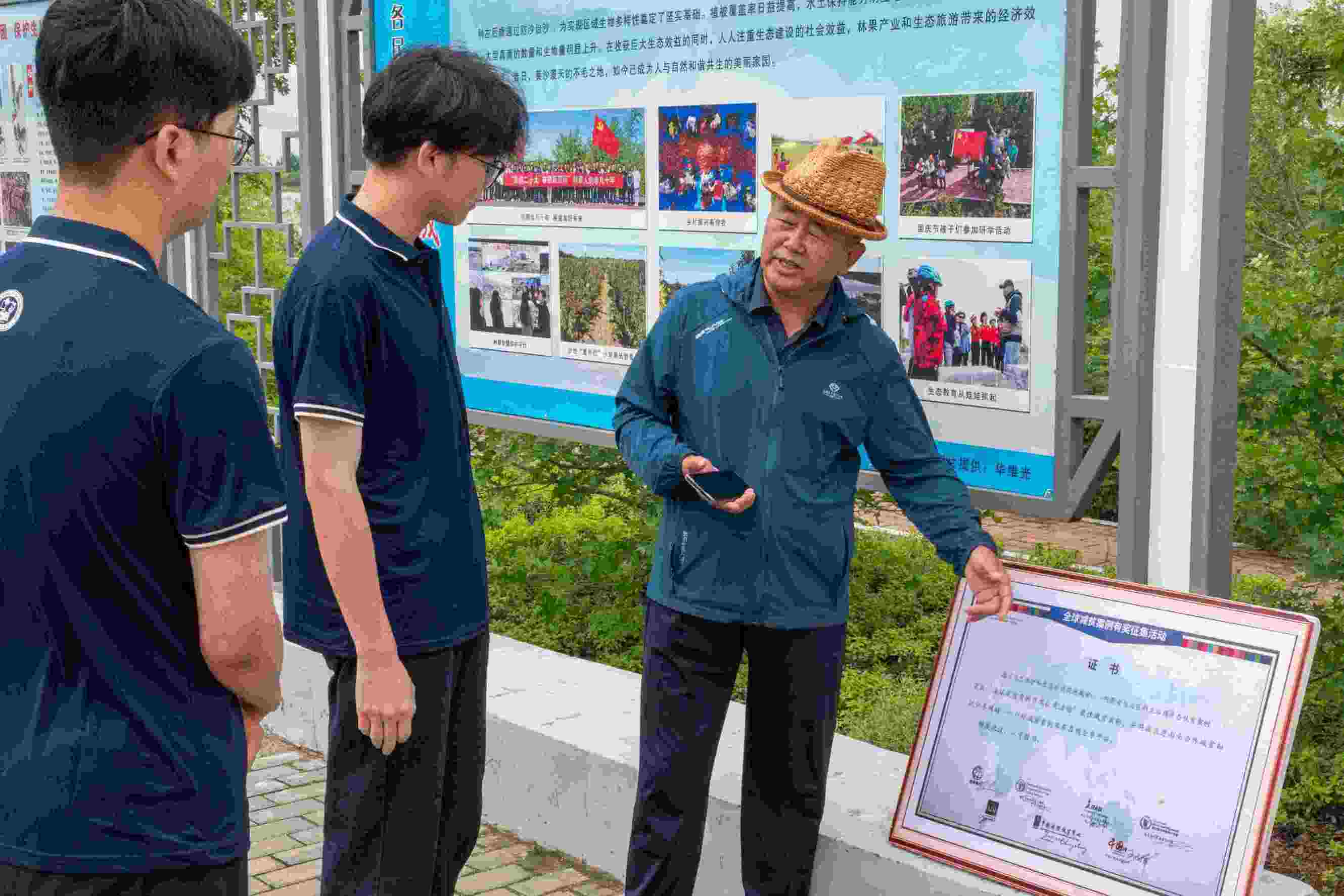 探秘深栽淺埋植樹技術(shù)