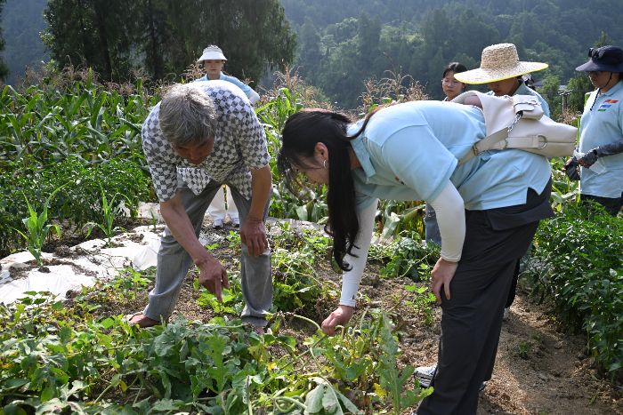 重外院學子三下鄉|精耕翠瓤產業路，青春擘畫振興圖
