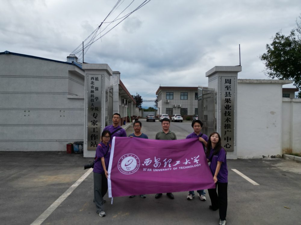 紅玉凝香探秦脈，雙果鏈動帶三秦