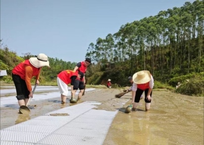 青春腳步丈量農(nóng)土 調(diào)研繪就農(nóng)技新篇