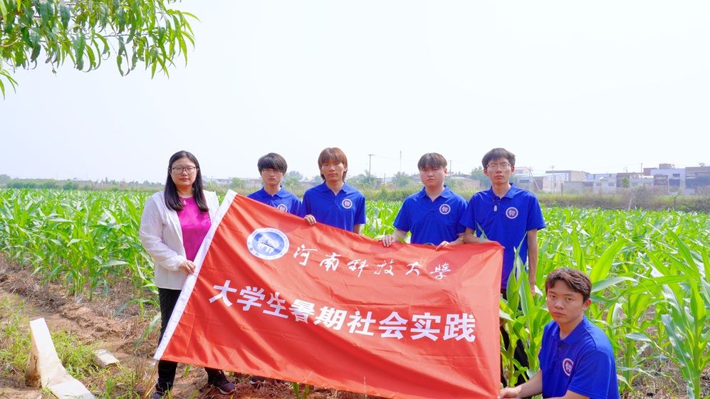 走進玉米地：“除霉安糧”團隊的深度調研之旅