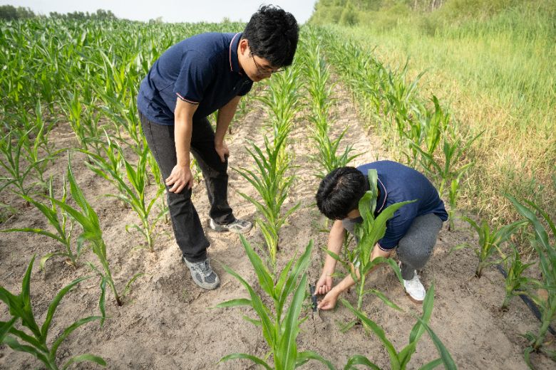 中國石油大學（華東）石油工程學院科左后旗碧野興鄉實踐隊：聚力生態振興 守護綠色家園