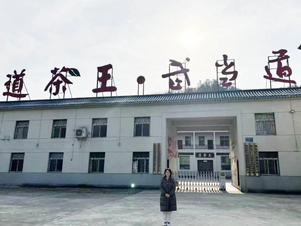 土關(guān)埡鎮(zhèn)茶葉產(chǎn)業(yè)：以融合之筆，繪就茶香新畫(huà)卷