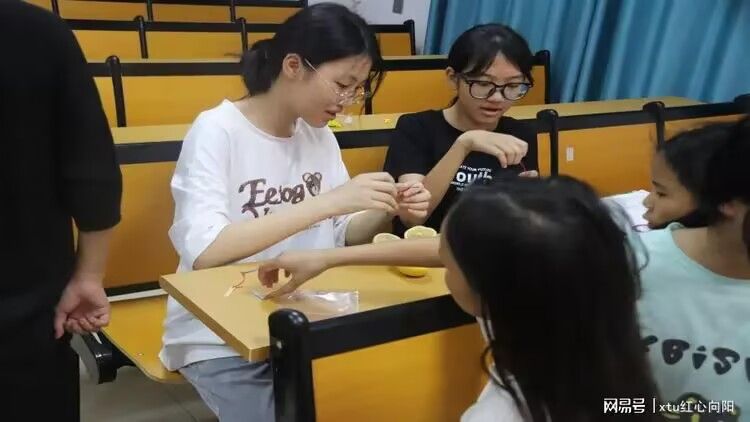 科學實驗點亮鄉村課堂：開啟奇妙探索之旅