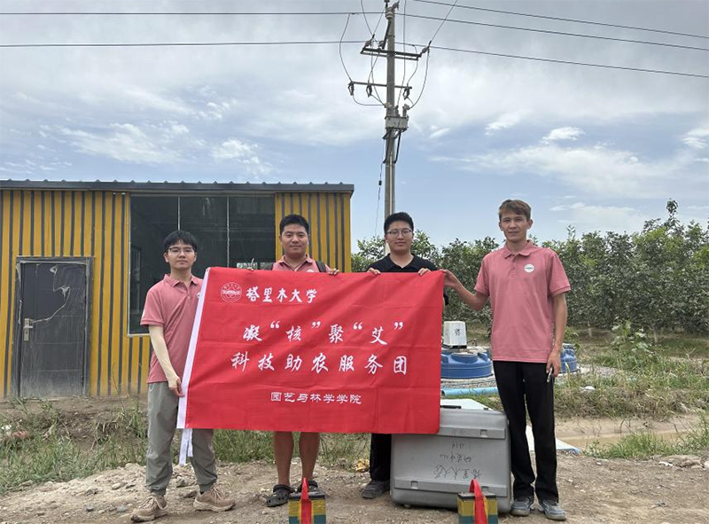 探秘核桃豐盈之源，共繪采收新篇章