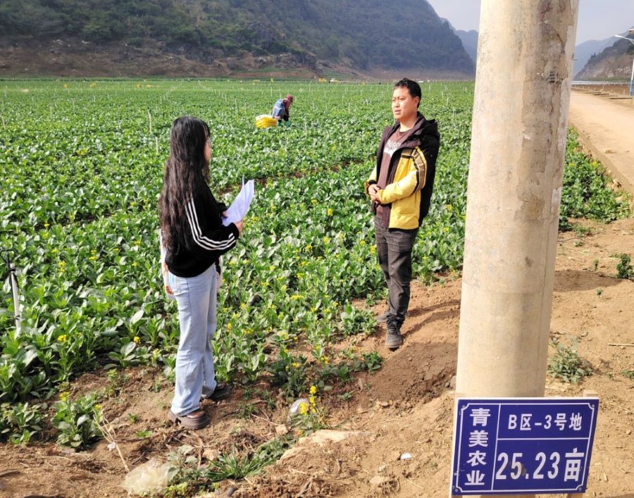 欣欣向融調(diào)研團(tuán)：聚焦貴州金州農(nóng)業(yè)開發(fā)有限公司，解碼鄉(xiāng)村振興產(chǎn)業(yè)融合之路