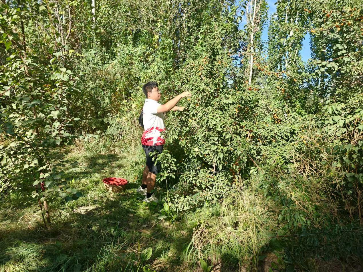 “青春力量進果園，學思踐悟助農興”——《青禾逐光實踐團》