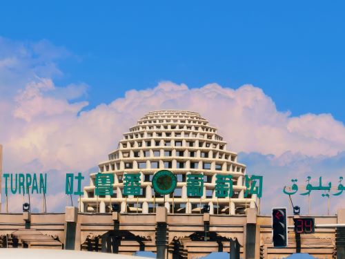 湘潭大學“三下鄉”實踐團走進吐魯番葡萄溝 探尋農文旅融合與文化傳承