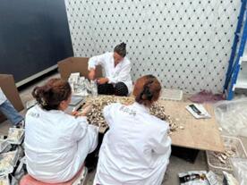 “松茸”助農百家樂，科技創新萬事欣