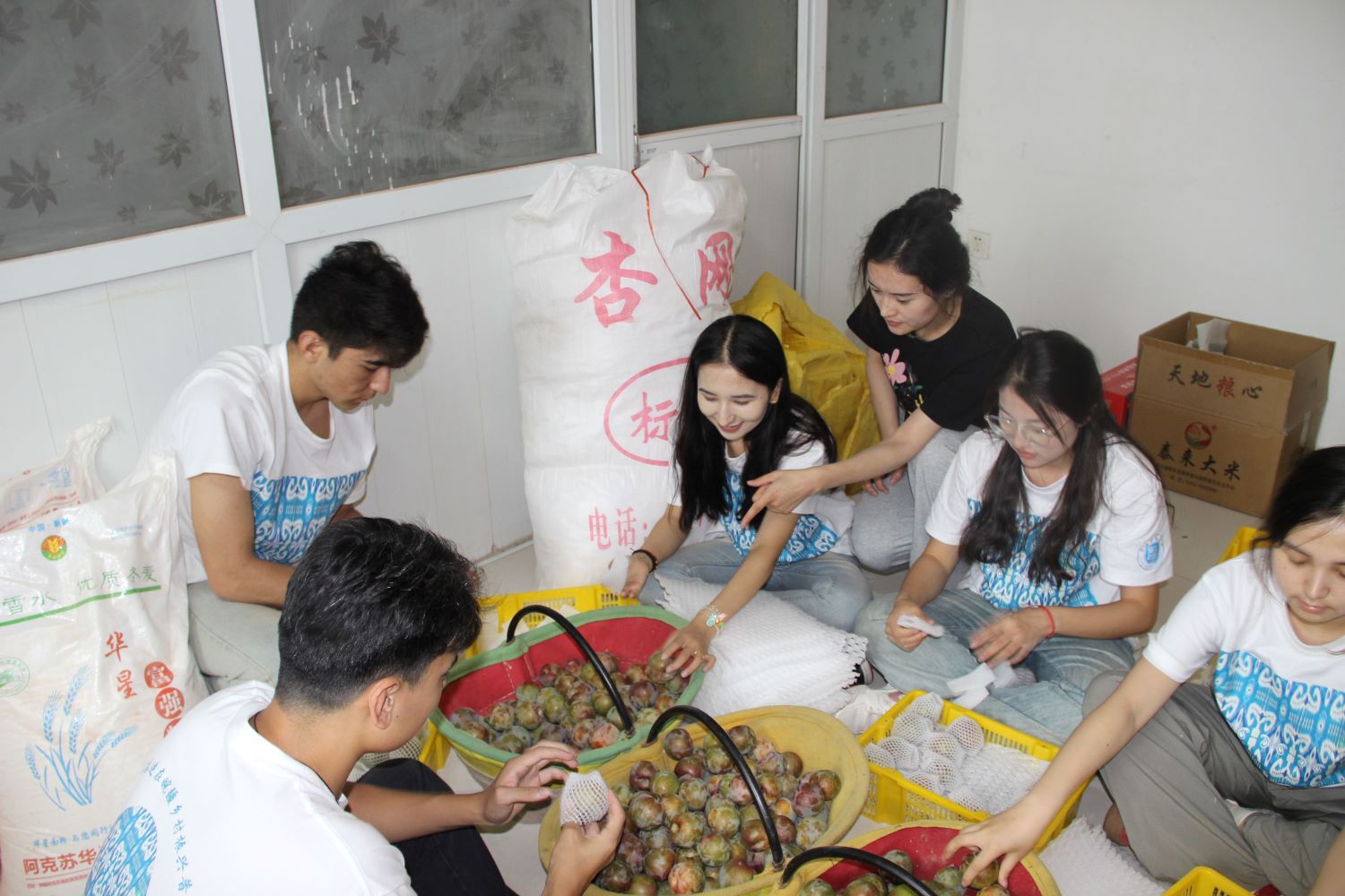 青春奮進在皖疆，鄉村振興普華章