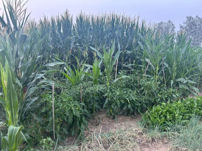 潛心匠心耘夢·勞動創界行動