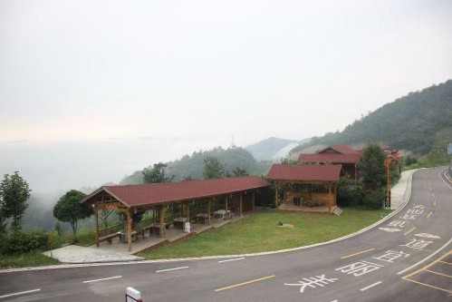 ? ?從茶園到景區：秭歸茶旅融合打造鄉村振興“新引擎”