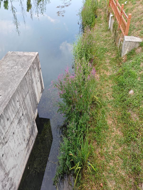 生態(tài)環(huán)保實(shí)踐：聚焦農(nóng)村與縣域社區(qū)的水資源與河流污染