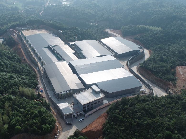 高山生態賦能團走進泰順：以企帶村，“肥田興蔬”共富鄉村