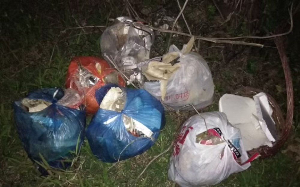 豫北醫(yī)學(xué)院智行書院“守護(hù)碧水”實(shí)踐隊(duì)：賈河畔的青春守護(hù)者