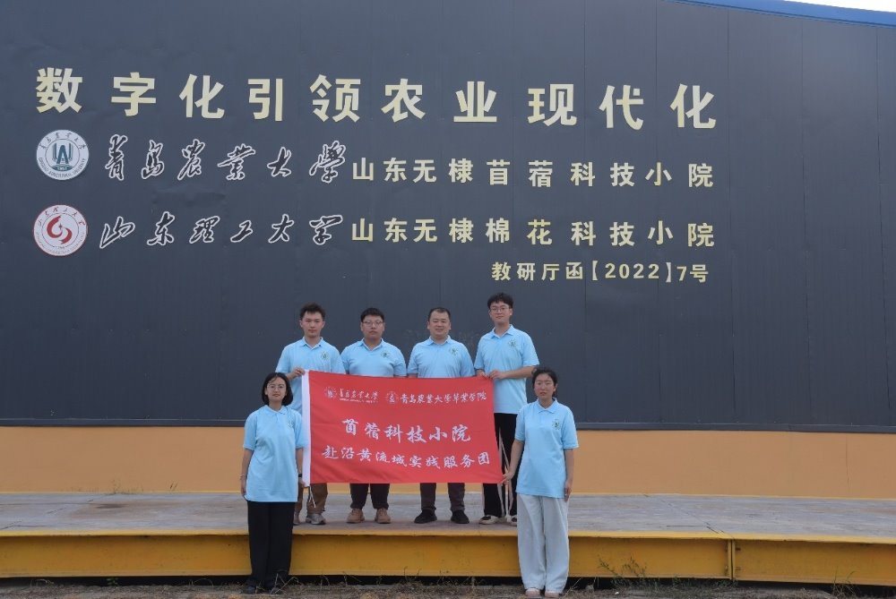 青苗涌動沿黃地，農(nóng)科青春探苜途——青島農(nóng)業(yè)大學實踐團踏訪科技小院，共繪草業(yè)新篇章