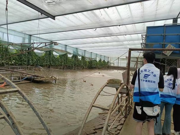 “鄉(xiāng)”約未來，智繪豐禾