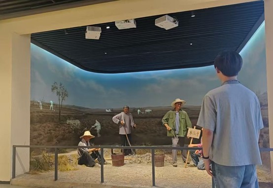 淮師學(xué)子三下鄉(xiāng)：探尋小井莊改革根脈，書寫青春奮進篇章