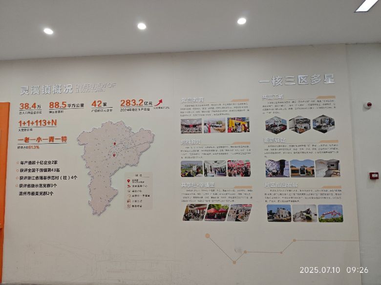 浙江農林大學“黨團融光 踐悟蒼南” 暑期社會實踐團的再啟之日