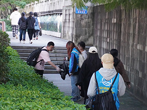 青春繪夢(mèng)閩江畔，綠影波光夢(mèng)輕揚(yáng)