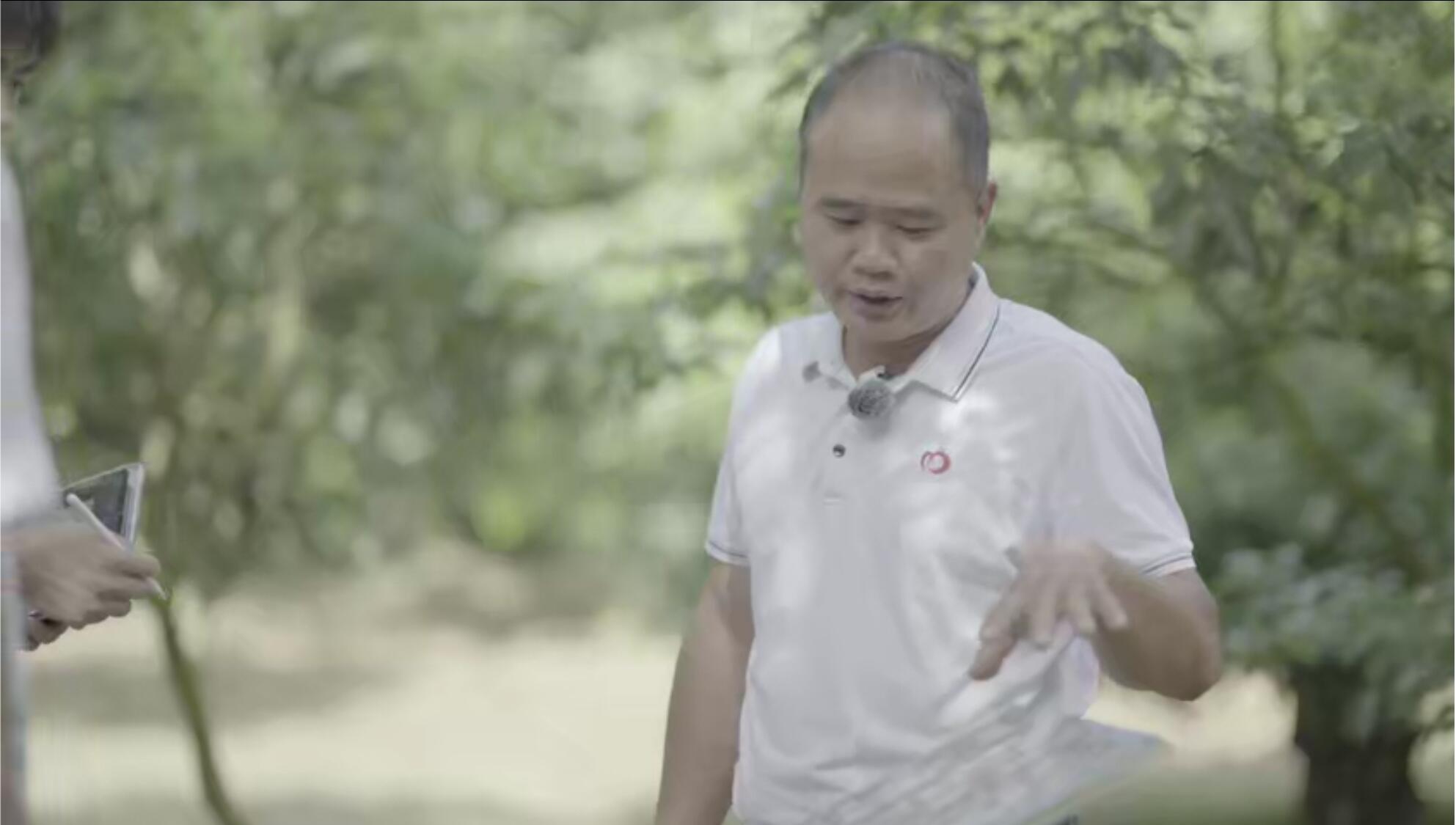 樹百千年，綠涌滿園