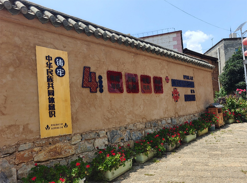 探訪雁塔村落，共筑鄉村振興——蘇州大學樂予樂行實踐團走進雁塔村落走訪