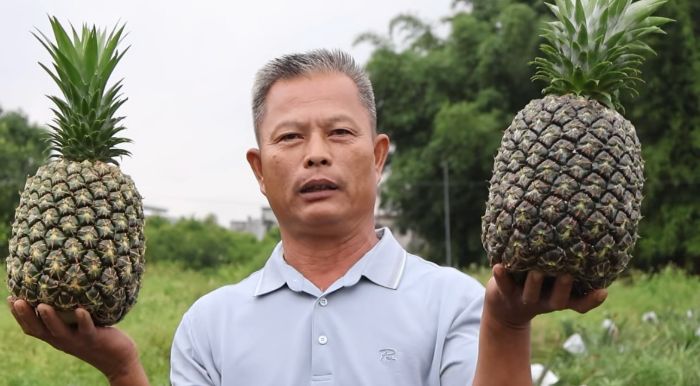 “戰前”磨劍，只為直播高光