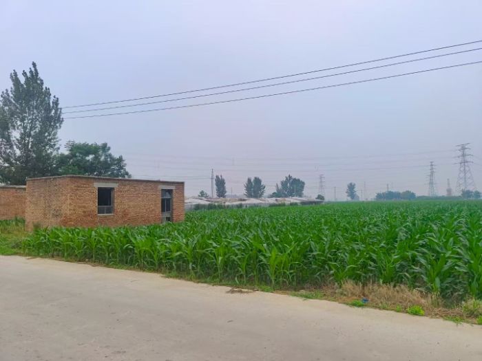 創飛科技實踐團在盛屯村開展罌粟巡檢調研，科技助力禁種鏟毒