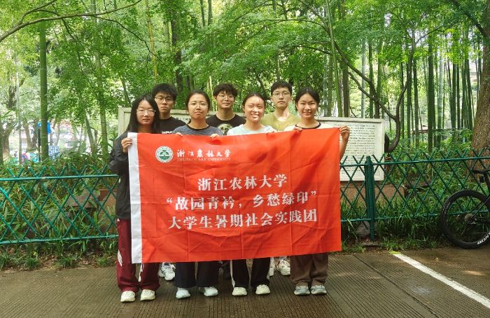 千年古樹隱憂現，青春力量護綠忙