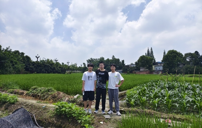 途林中，夢遠(yuǎn)航